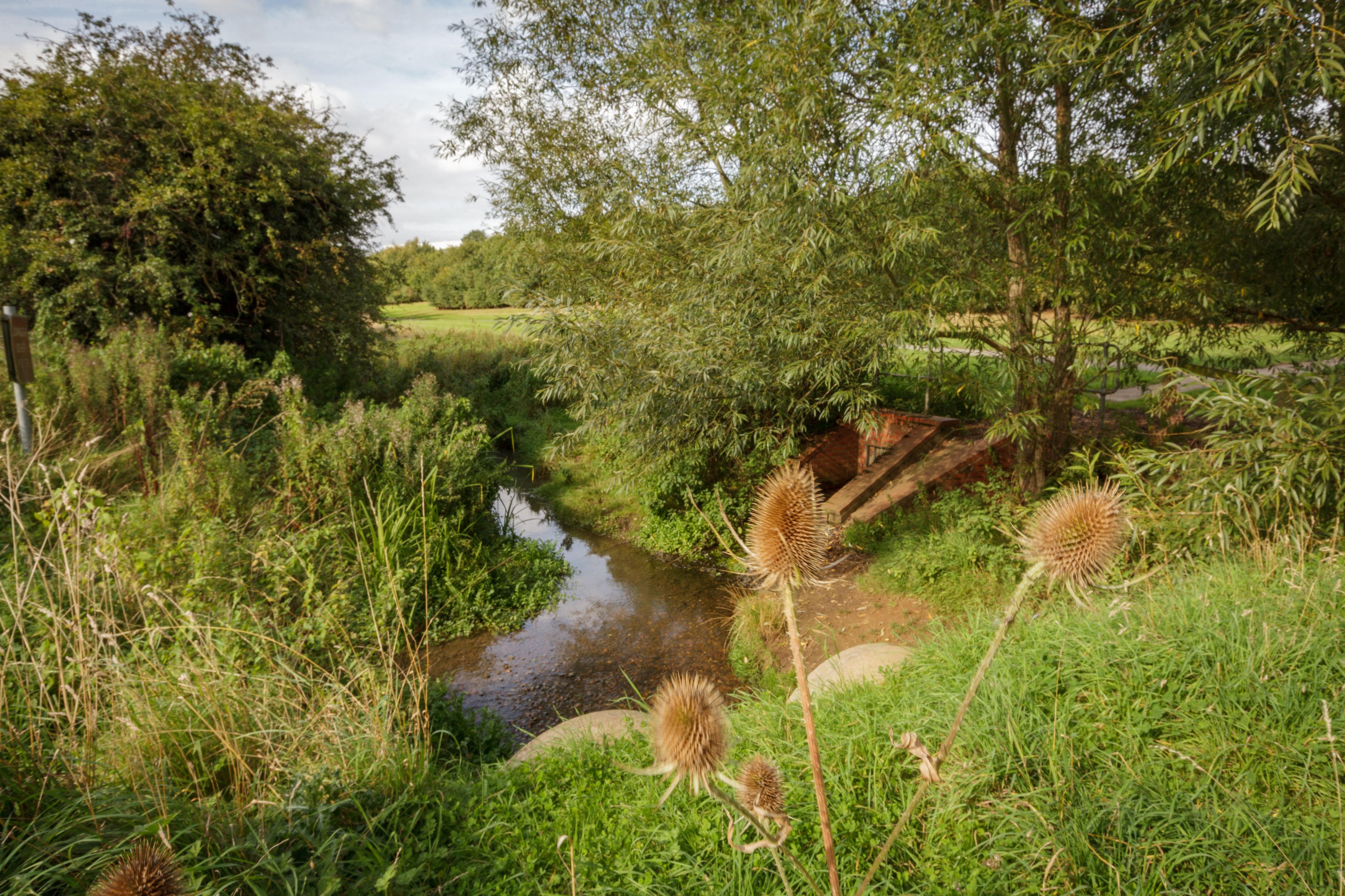 Stream at Pineham